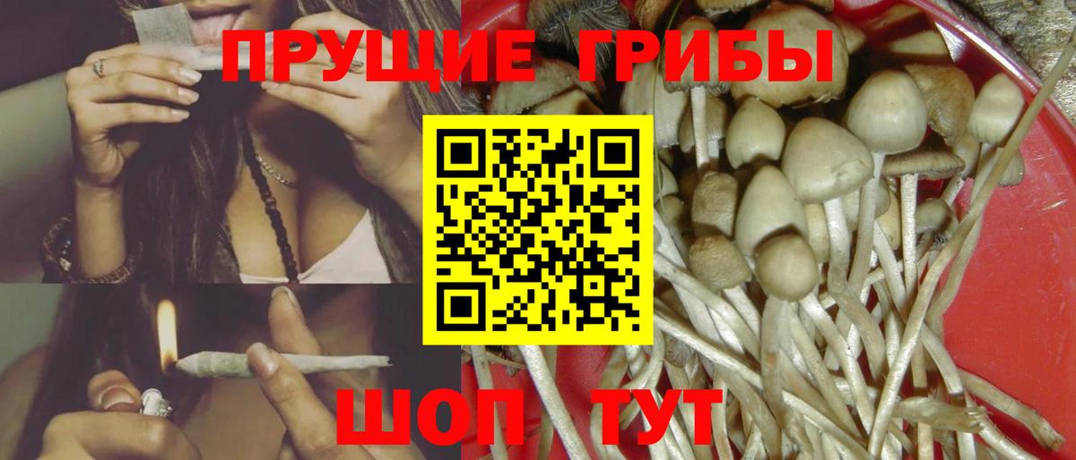 Псилоцибиновые грибы Psilocybe  Вход с VPN  Биробиджан 